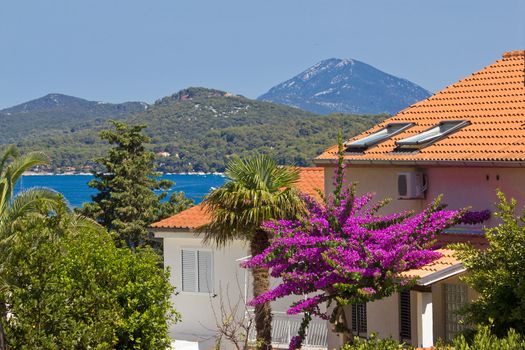 Island of Losinj sea and landscape, Dalmatia, Croatia