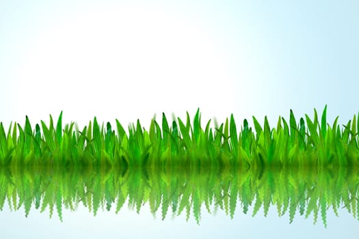 Isolated green grass with water reflection on blue background