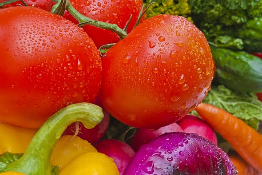 Group of vegetables closeup view