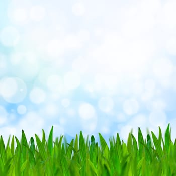 Abstract blue tone bokeh background with green grass.