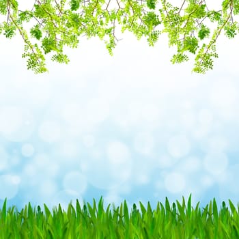 Abstract blue tone bokeh background with green grass and fresh green leaves