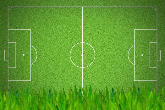 Soccer or football field with green grass foreground