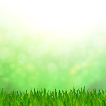 Abstract green tone bokeh background with green grass.