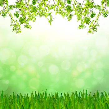 Abstract green tone bokeh background with green grass and fresh green leaves