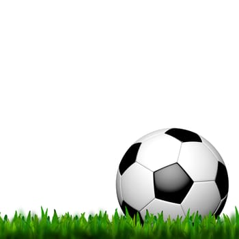 Football ( soccer ball ) in green grass