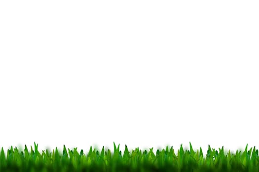 green grass isolated on white background