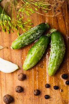 Preparation of small cucumber preserving on wooden table