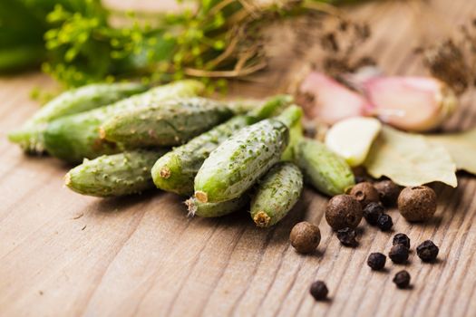 Preparation of small cucumber preserving on wooden table