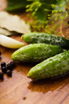 Preparation of small cucumber preserving on wooden table