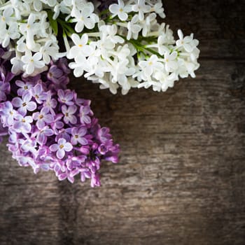 Lilac flowers closeup, on the wooden table for design