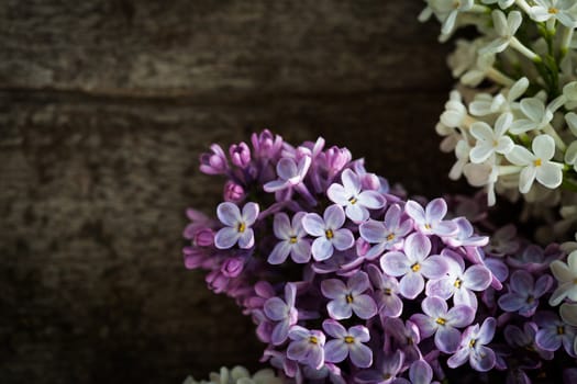 Lilac flowers closeup, on the wooden table for design