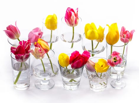 Beautiful pink and yellow tulips in different flasses on white