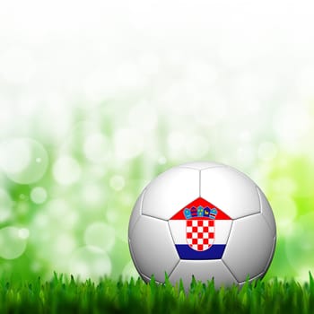 3D Football Croatia Flag Patter in green grass and background
