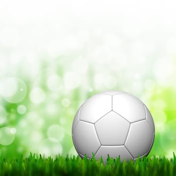 3D Football in green grass and background