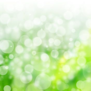 Beautiful Nature Bokeh and green background