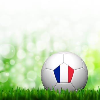 3D Football France Flag Patter in green grass and background