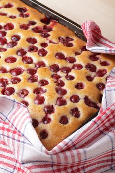 Cherry sponge cake closeup, opened after baking