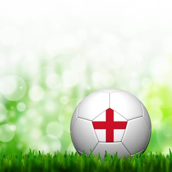 3D Football England Flag Patter in green grass and background