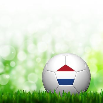 3D Football Netherlands Flag Patter in green grass and background