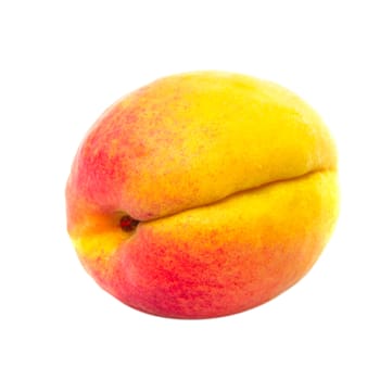 One apricot fruit isolated on white background