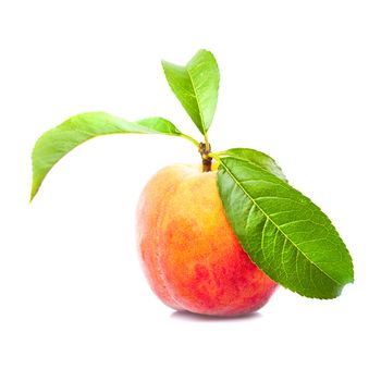 One peach with leaves isolated on white background