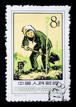 CHINA - CIRCA 1957: A Stamp printed in China shows image of a young woman plants tree, circa 1957 