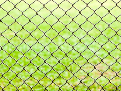 iron wire fence on green grass background .