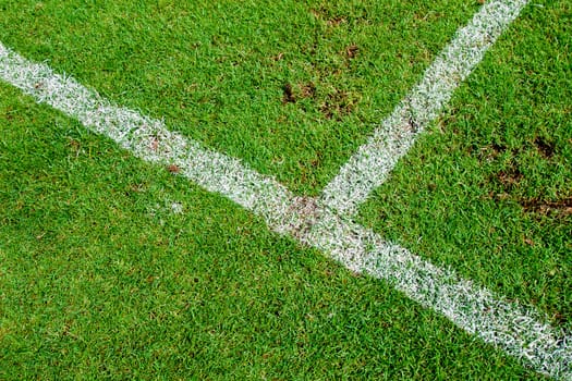 White stripe on the green soccer field