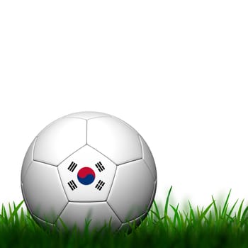 3D Football Korea  Flag Patter in green grass on white background