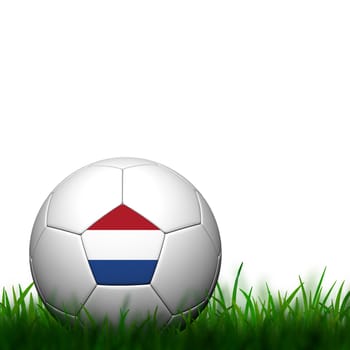 3D Football Netherlands Flag Patter in green grass on white background