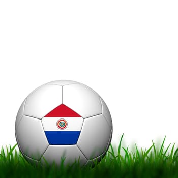 3D Football Paraguay Flag Patter in green grass on white background