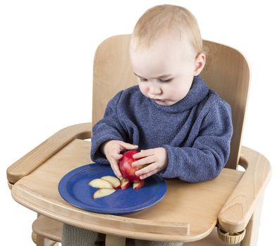 young child eating in high chair isolated in white background