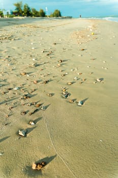 little rock on the beach