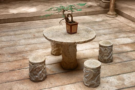 bonsai plant on a stone outdoor table