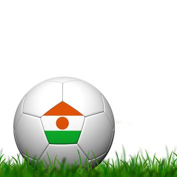 3D Soccer balll Niger Flag Patter on green grass over white background