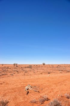 australian red desert outback is dry and barren