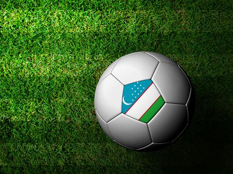 Uzbekistan Flag Pattern 3d rendering of a soccer ball in green grass