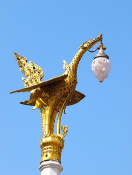 Golden swan lamp on electricity