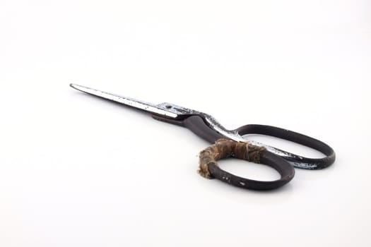 Old scissors on isolated white background.   