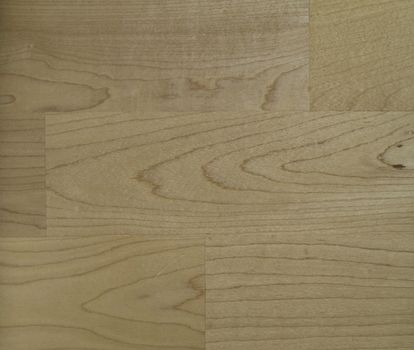 maple wood grain texture background