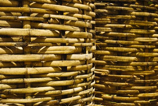 bamboo texture