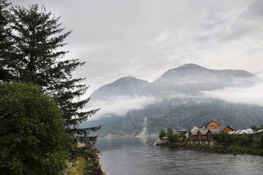 beautiful forest landscape of the Norwegian small town