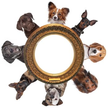 a group of dog portraits around a round golden picture frame in front of a white background