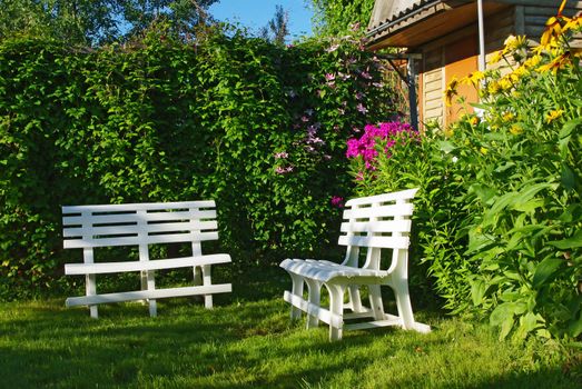 White benches in a secluded corner of lush green garden