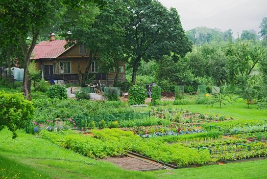 Vegetable garden near an old country cottage