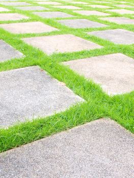 Beautiful grass tiles walk way in the garden     