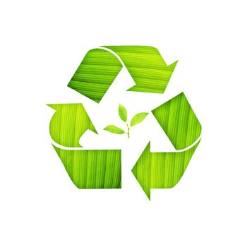 recycle symbol with leaf detail and green Leaf Inside on isolated background