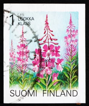 FINLAND - CIRCA 1992: a stamp printed in the Finland shows Rosebay Willowherb, Epilobium Angustifolium, Flower, circa 1992