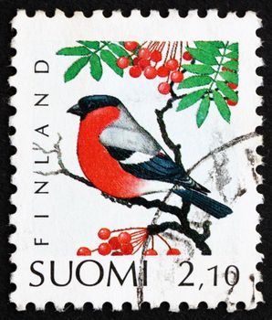 FINLAND - CIRCA 1991: a stamp printed in the Finland shows Eurasian Bullfinch, Pyrrhula Pyrrhula, Passerine Bird, circa 1991