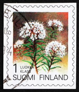 FINLAND - CIRCA 1993: a stamp printed in the Finland shows Labrador Tea, Flower, circa 1993